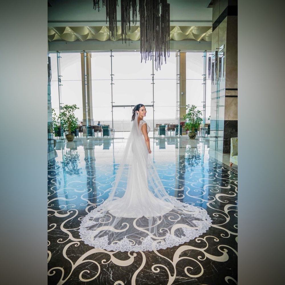 MUSE by Berta Aisha (17-20) Wedding Dress Worn for only 1 hour & dry cleaned! - Picture 8 of 13